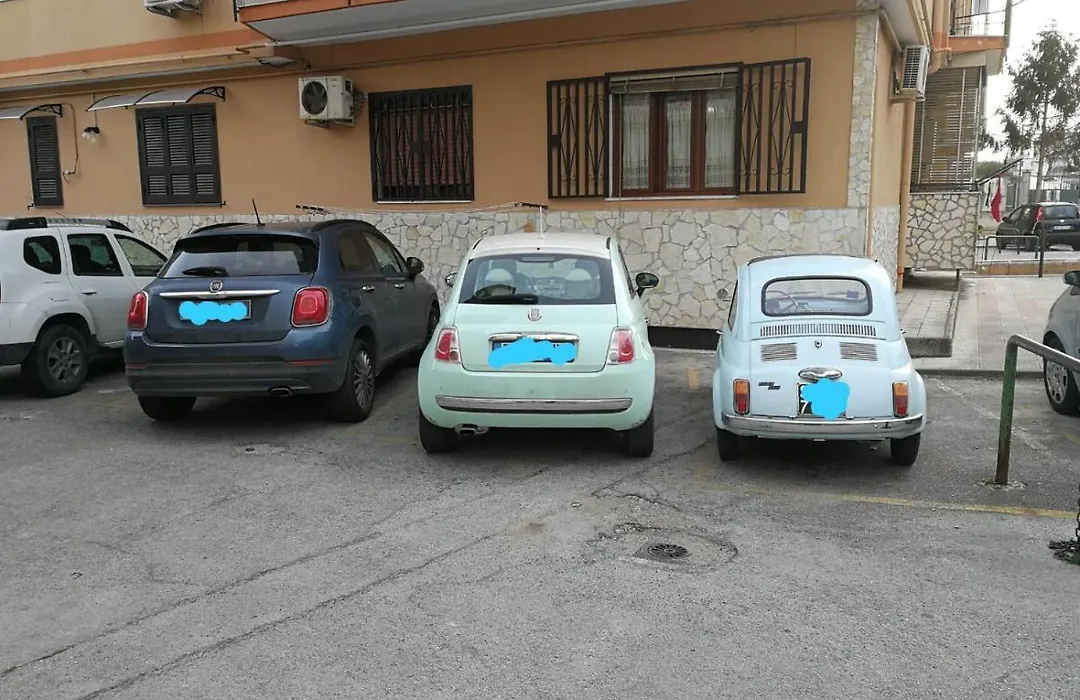 Bellidea B&B-1